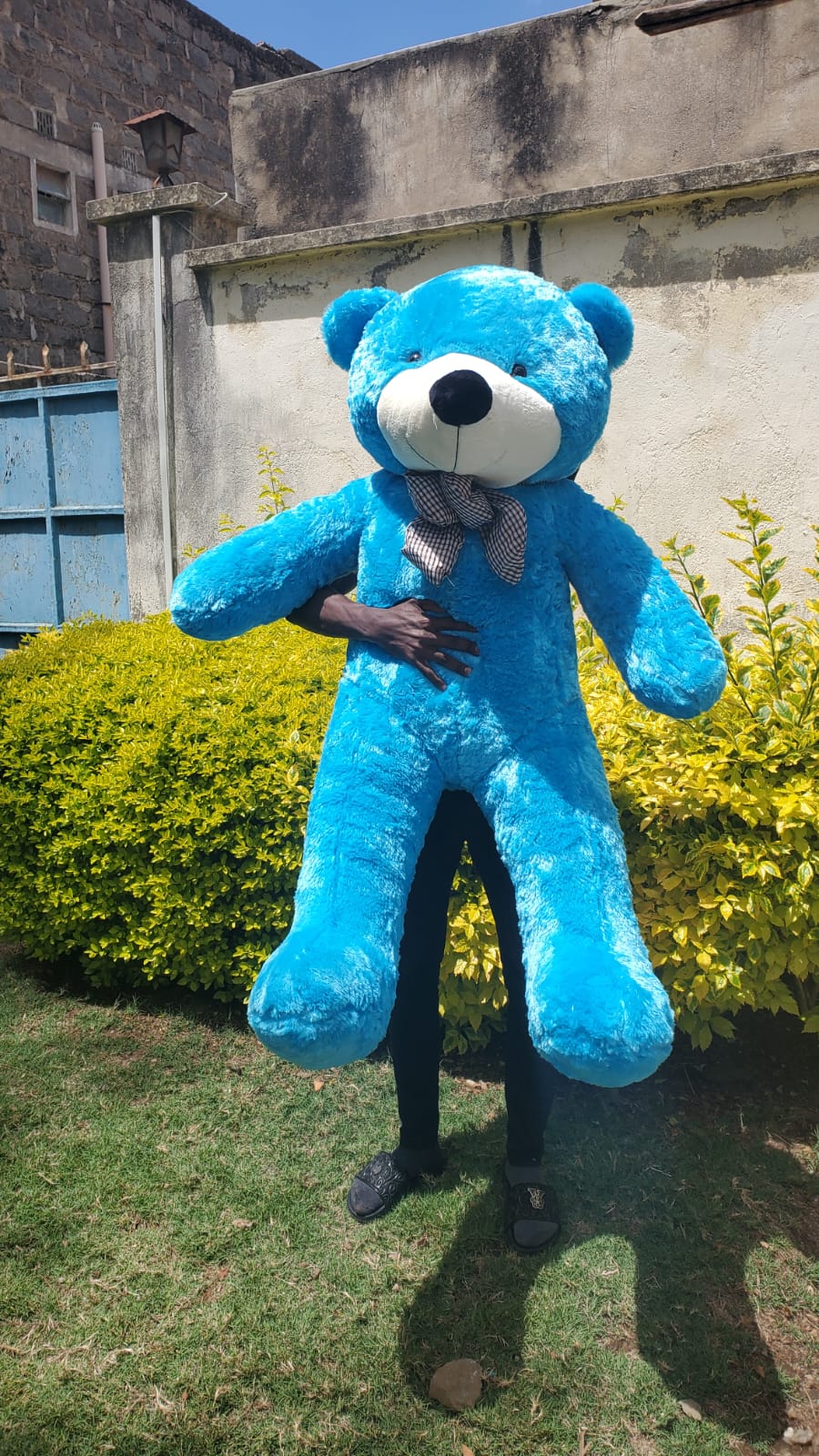 160cm Giant Plush Teddy Bear – Extra Large Ultra-Soft Stuffed Toy for Kids, Lovers, Gifts & Home Decor