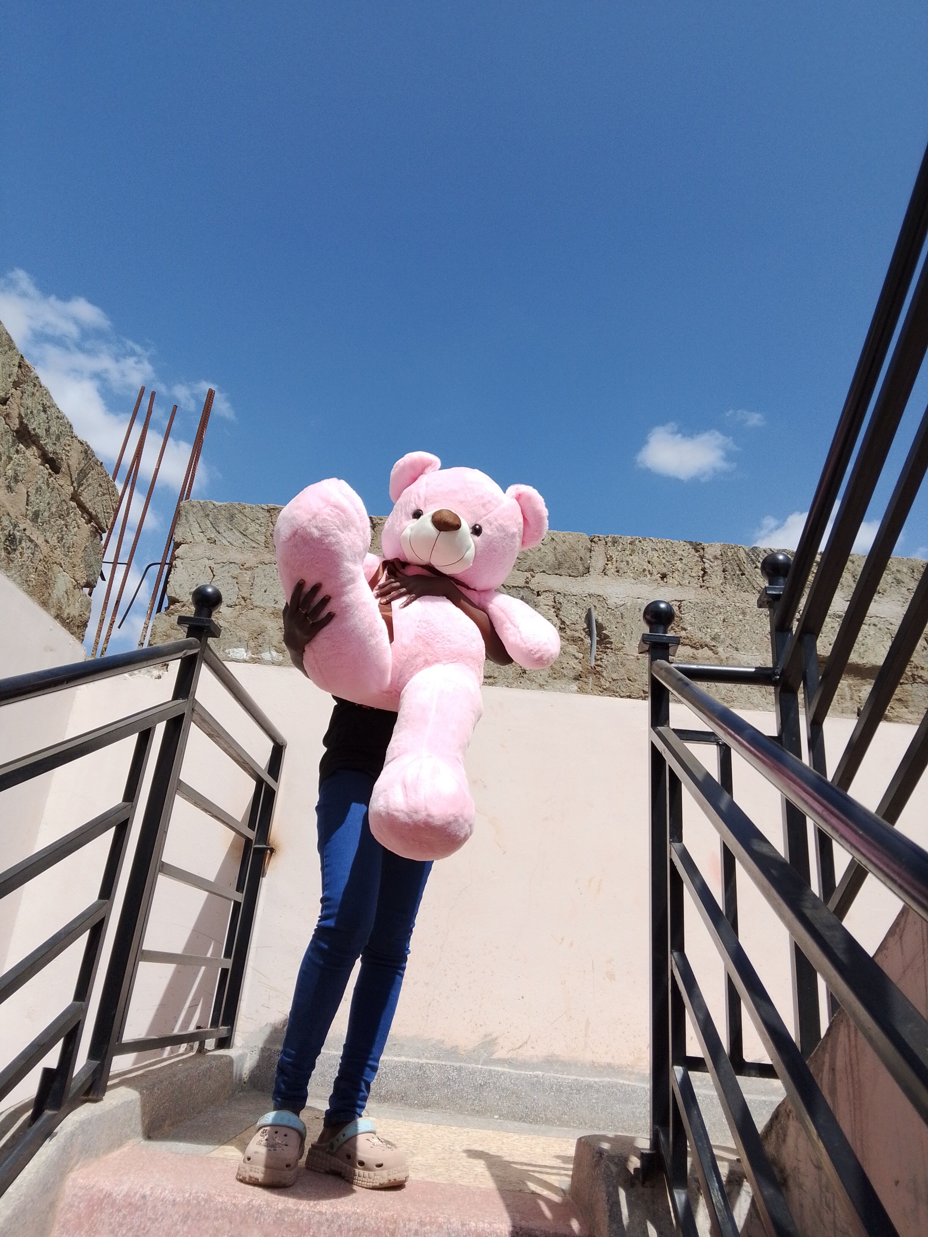 120cm pink  Teddybears