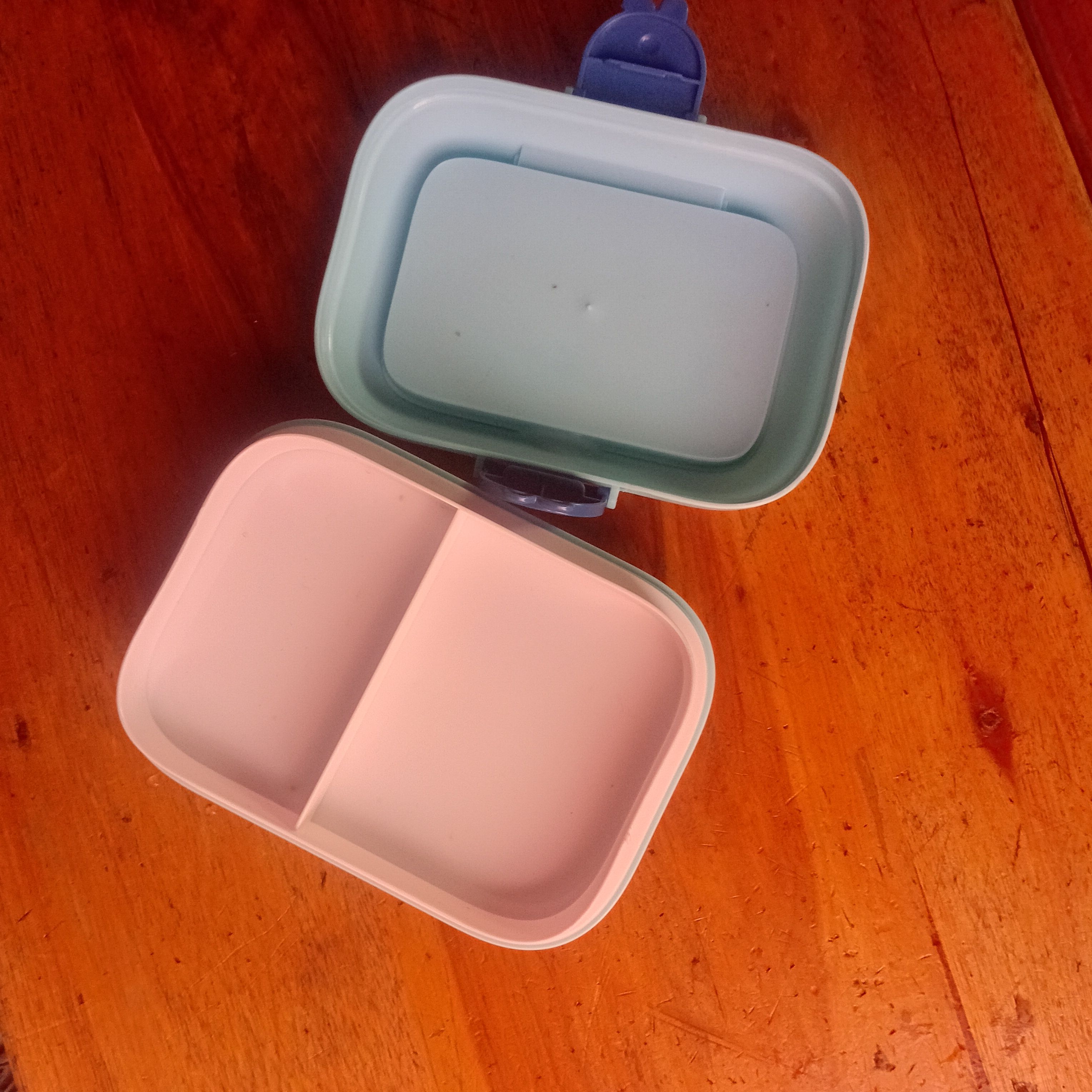 🍽️🎒 KIDS ELEGANT BACK-TO-SCHOOL PLASTIC DISH 🎒🍽️
Make mealtime fun and stylish for your little ones! This Kids Elegant Back-to-School Plastic Dish is designed to be cute, practical, and safe, p
