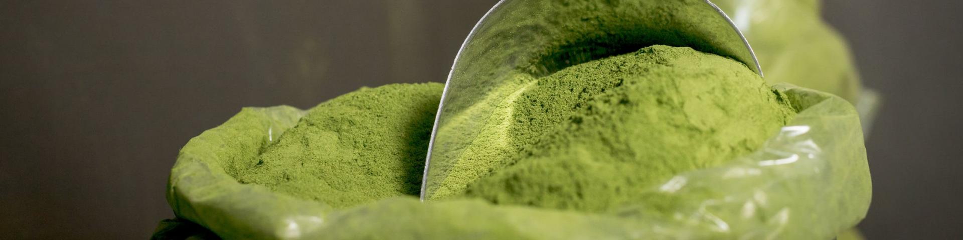 Organic!!  Moringa powder for Energy Wellness helps lower blood sugar level, reduces inflammation, lowers cholesterol smoothen skin, weight loss, diabetes and digestion