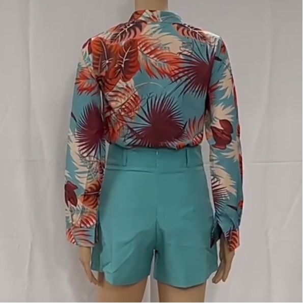 2 pcs 2026 New Long-Sleeved Shirt and Shorts Women's Set with Light and Sophisticated Digital Printing, Stand-Up Collar Long-Sleeved Shirt, Shorts for Women