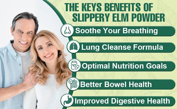 Ulcers Treatment 100% Healthy Organic Capsules - Slippery Elm