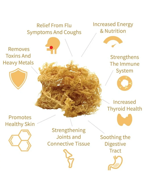Sea Moss Capsules - Improved Immunity, Fight Inflammation, Improve Gut Health, Increased Energy