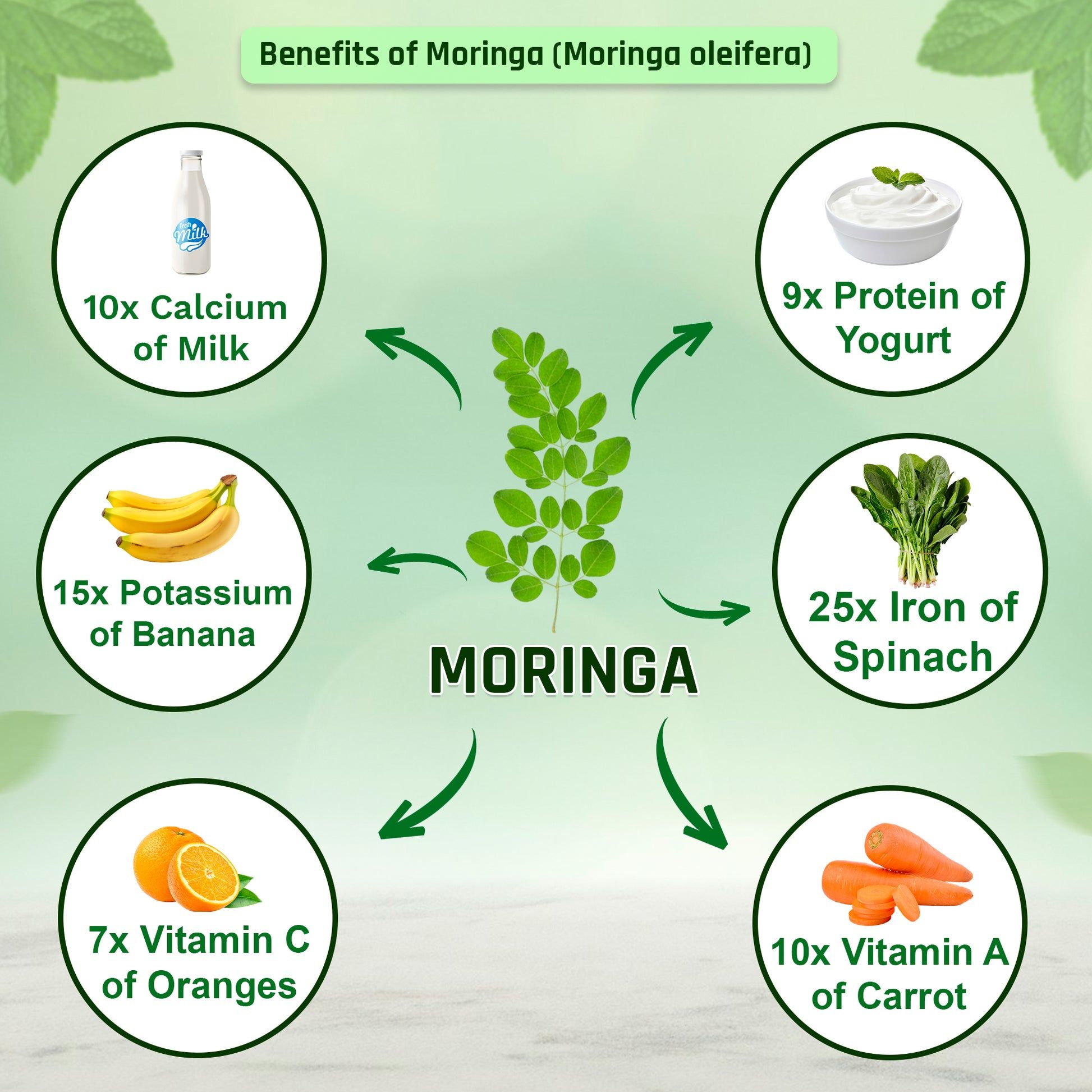 Moringa Capsules - Increased Energy & Immunity