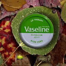 VASELINE LIP THERAPY -ALOE 20G.