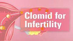 CLOMID 50MG ( 5 TABLETS ONCE A DAY FOR 5 DAYS ONLY)