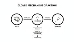 CLOMID 50MG ( 5 TABLETS ONCE A DAY FOR 5 DAYS ONLY)