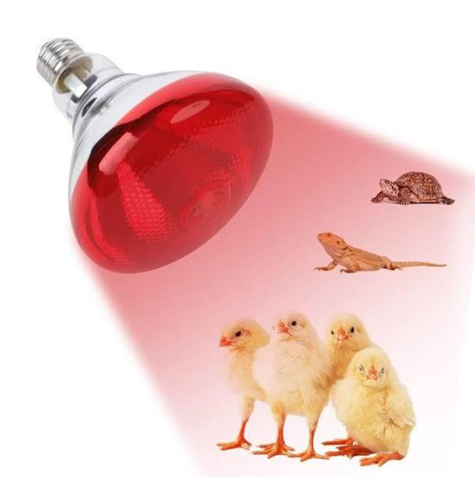 Infrared Red Chicken Bulb, Heat Lamp For Chickens Coop Brooder And Reptile Heat Bulb Light