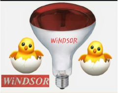 Infrared Red Chicken Bulb, Heat Lamp For Chickens Coop Brooder And Reptile Heat Bulb Light