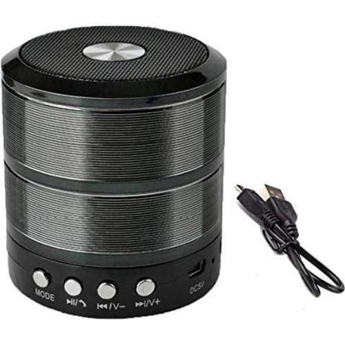 Wster WS887 Mini Bluetooth Speakers With MP3 and FM Radio