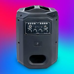 [Exclusive Online Offer] Havit SQ143BT Audio series- Trolley speaker, Dual Wireless Microphones, Trolley Design, True Wireless Stereo (TWS), Lighting Effects, Outdoor events and karaoke