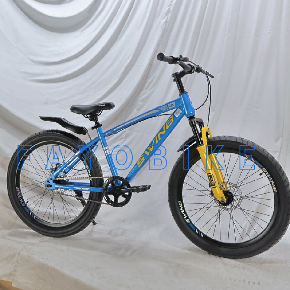 Swing Size 24 Bicycle with Fat Tires