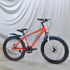 Swing Size 24 Bicycle with Fat Tires