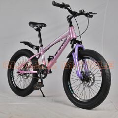 Swing Kids Bicycle – Size 20 (Fat Tire) 7-11years