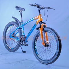 Swing Fat Tyre Bicycle – Size 20(9-13years)