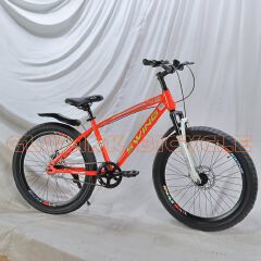 Swing Fat Tyre Bicycle – Size 24 (9-13years)