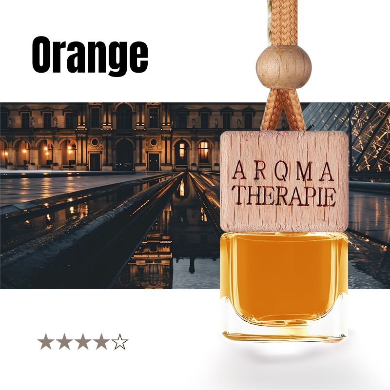 4pcs Car Fragrance Car Hanging Perfume Car Pendant Car Perfume Pendant Car Air Freshener Car Air Refreshing Car Odor Removal Cologne Ocean Lavender Jasmine Long Lasting Fresh Elegant Decorative