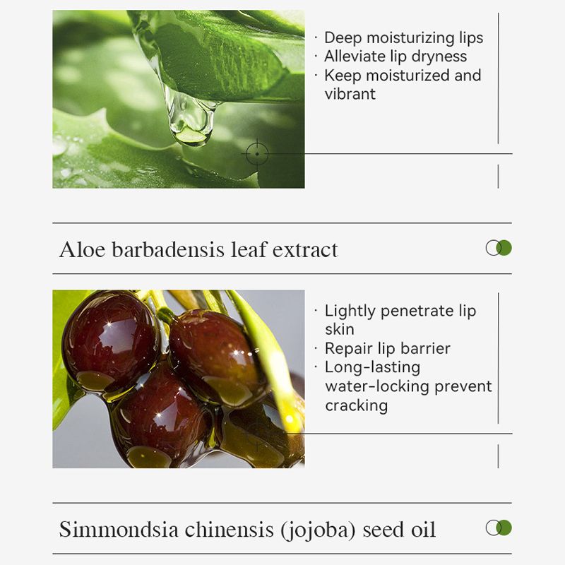KORMESIC Natural Aloe Vera Lip Balm Moisturizing Hydrating Soothing Repair Dry Chapped Lips Soothes & Plumps Lips Reduces Lip Wrinkles & Restores Smoothness Non-Greasy Fast Absorbing Formula Lip Care