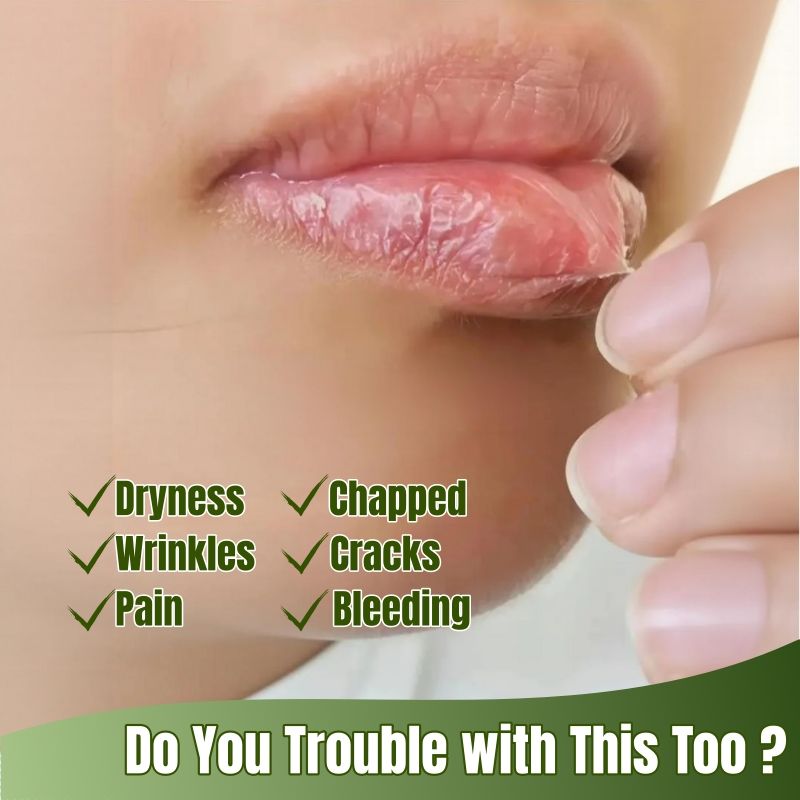 KORMESIC Natural Aloe Vera Lip Balm Moisturizing Hydrating Soothing Repair Dry Chapped Lips Soothes & Plumps Lips Reduces Lip Wrinkles & Restores Smoothness Non-Greasy Fast Absorbing Formula Lip Care
