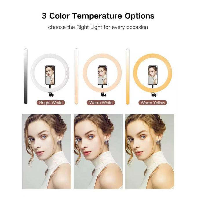 6 in 1 Ring Light 10 INCH 12 INCH 14 INCH Circular Selfie LED Fill RingLight + 2.1M Stand and Cell Phone Holder with 3 Colour Modes and 10 Brightness Levels for YouTube Live TikTok Video Recordings