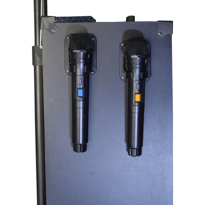 TAGWOOD LTS-10B Outdoor Subwoofer Speaker with Bluetooth, FM Radio, Free Wireless Microphone Woofer