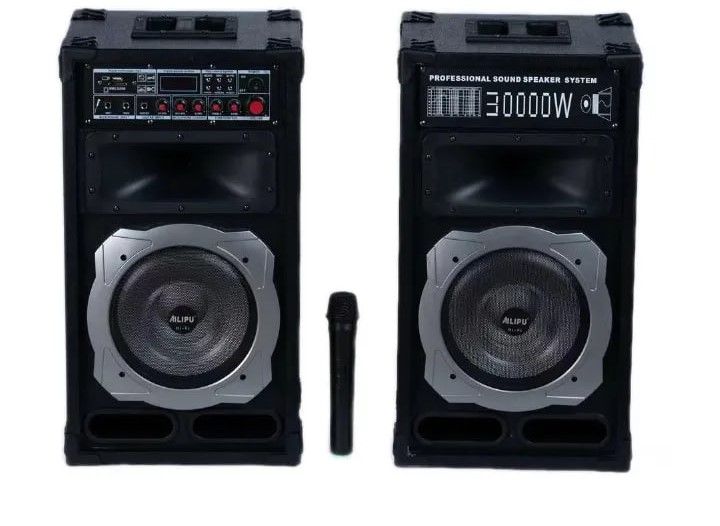AILIPU 2.0 PA speaker box 30000W 2*10inch speaker Outdoor Professional Speaker with Bluetooth, FM Radio, Free Wireless Microphone, remote KL-9030AD - Black