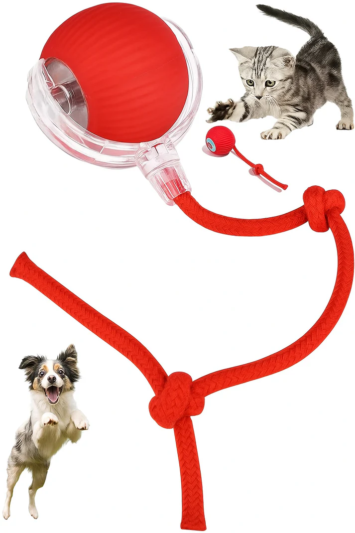 Smart Interactive Rolling Pet Ball Toy