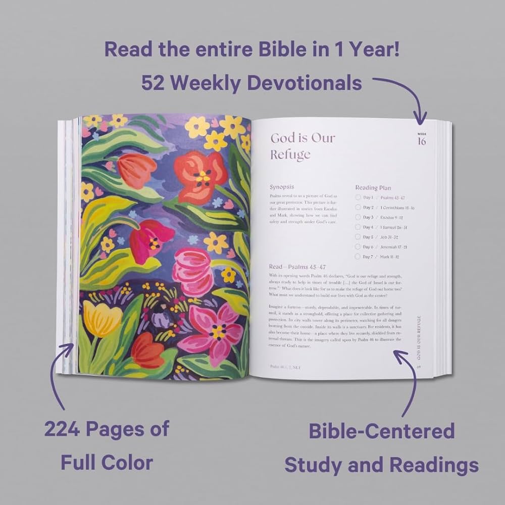 A Beautiful Year in the Bible – 52-Week Bible Study for Women (Paperback)