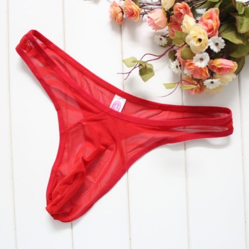 3 Pack Men's Sexy Sheer Mesh Thong Underwear Ultra Thin Breathable U-Convex Pouch Design Seductive Intimate Lingerie Comfort T-Back Briefs for Men