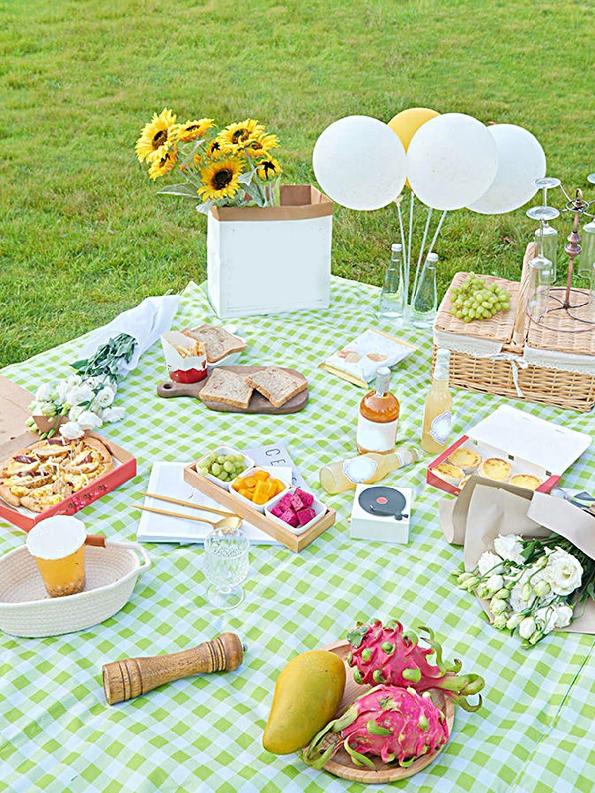 Foldable and Waterproof Picnic Mat for Outdoors or Camping, Picnic Blanket/ Camping Floor Carpet/ Beach Blanket, Tent, Meadow Mat, Park Grass Mat, Yoga Mat, Foldable Sleeping Pillow - LARGE 200x200cm