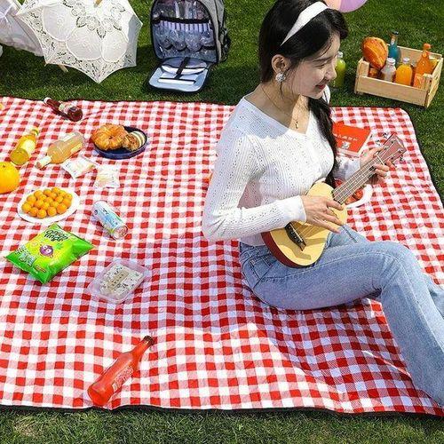 Foldable and Waterproof Picnic Mat for Outdoors or Camping, Picnic Blanket/ Camping Floor Carpet/ Beach Blanket, Tent, Meadow Mat, Park Grass Mat, Yoga Mat, Foldable Sleeping Pillow - LARGE 200x200cm