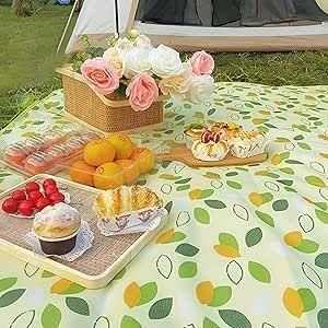 Foldable and Waterproof Picnic Mat for Outdoors or Camping, Picnic Blanket/ Camping Floor Carpet/ Beach Blanket, Tent, Meadow Mat, Park Grass Mat, Yoga Mat, Foldable Sleeping Pillow - LARGE 200x200cm