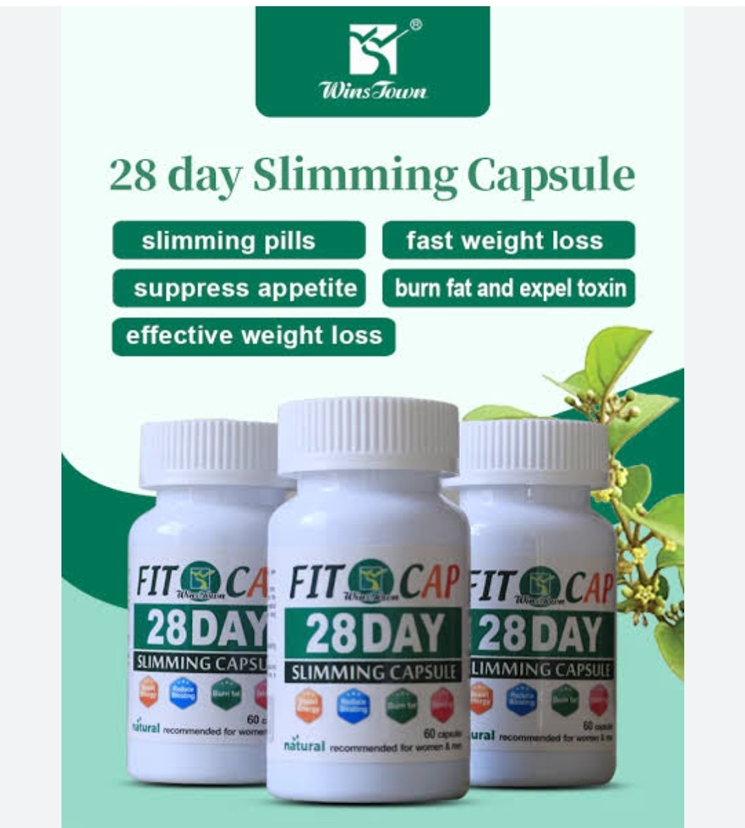 Fit Cap 28 day Slimming Capsules