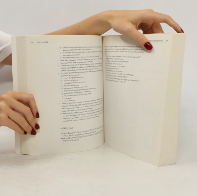 NLP at Work by Sue Knight: Neuro Linguistic Programming The Essence of Excellence | Communication Skills | Leadership | Coaching | Business Success | Personal Development Book