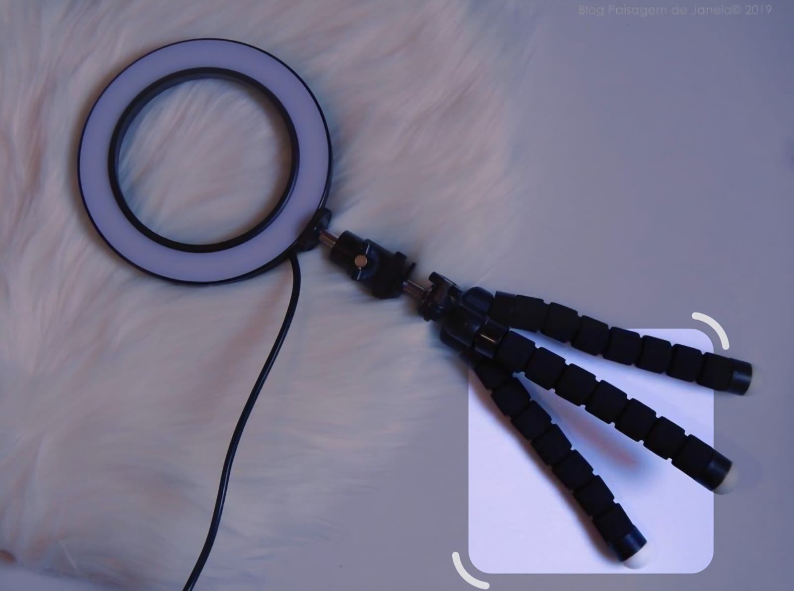 8-Inch LED Ring Light _ Dimmable Selfie & Makeup Light( no stand)