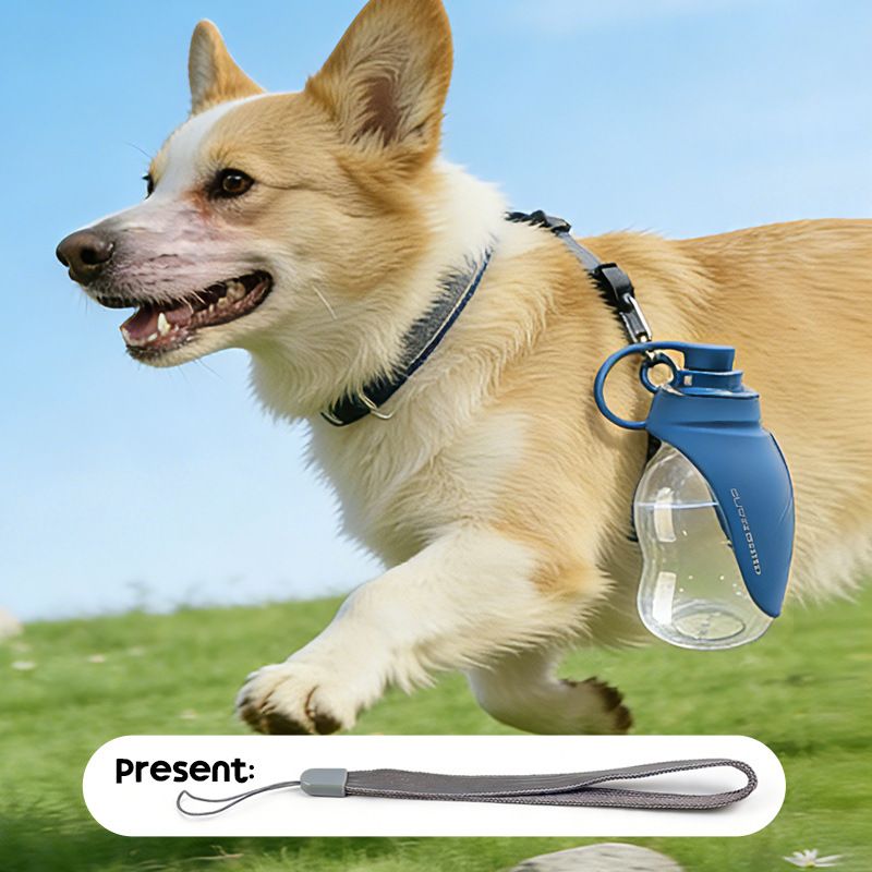 Convenient Mini Leaf - Shaped Pet Water Dispenser: Easy Outdoor Water Solution for African Dog Owners!