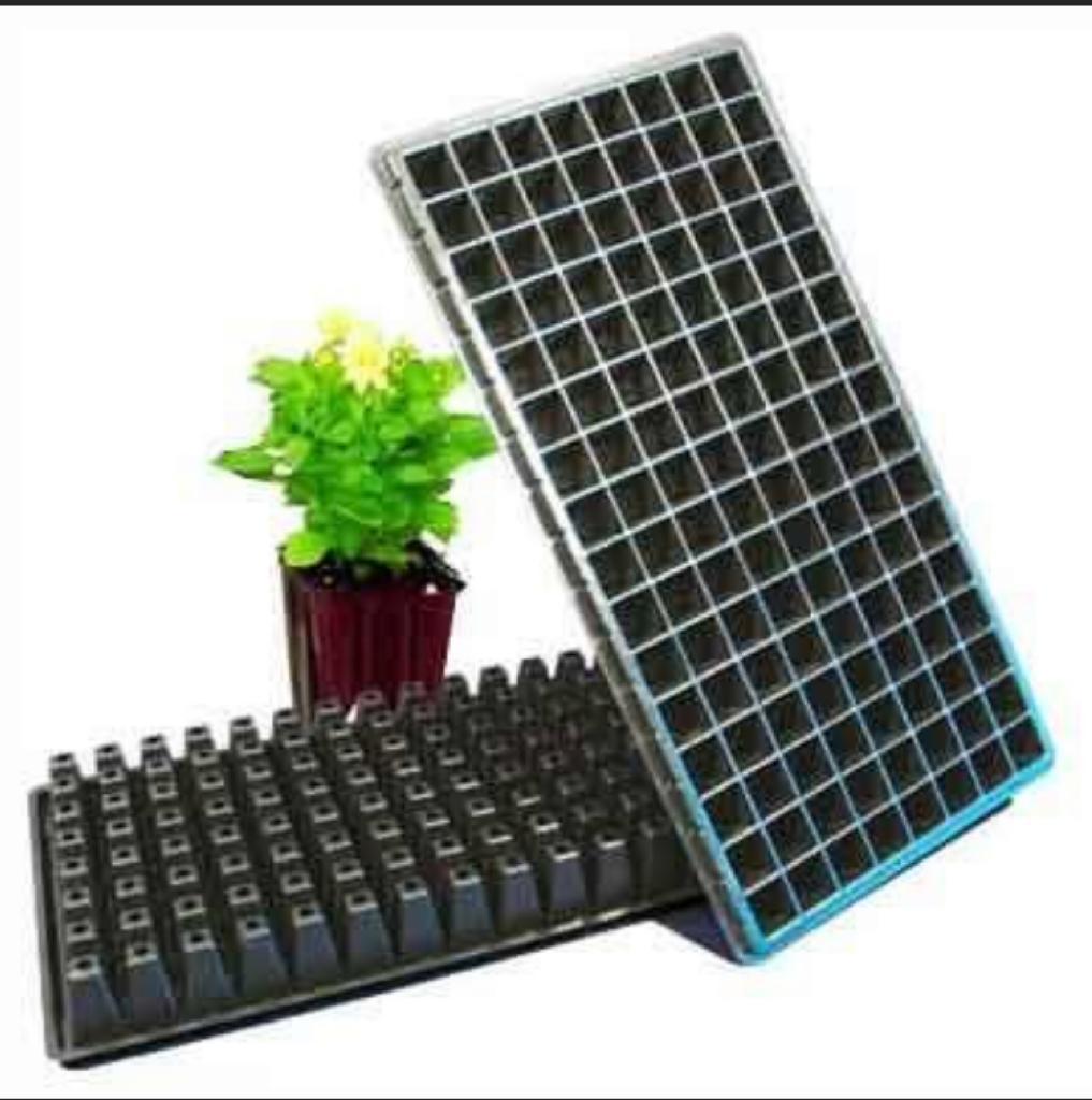 Seedling Trays with Drain Holes | 28 / 66 / 160 / 204 / 230 Cell Planting Seed Propagation/Germination Trays