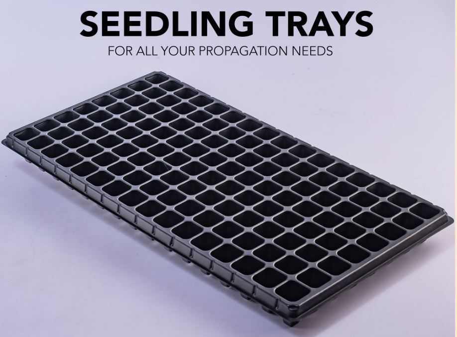Seedling Trays with Drain Holes | 28 / 66 / 160 / 204 / 230 Cell Planting Seed Propagation/Germination Trays