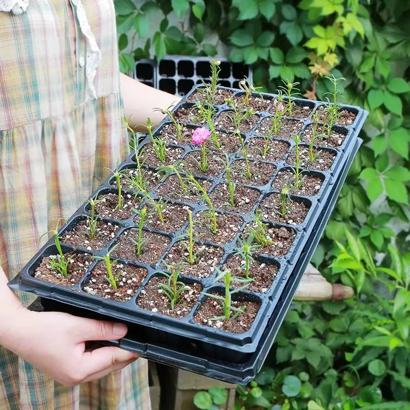 Seedling Trays with Drain Holes | 28 / 66 / 160 / 204 / 230 Cell Planting Seed Propagation/Germination Trays