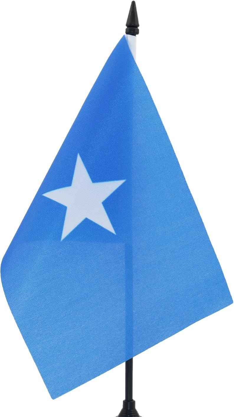 Mini National Desk Flags with Stand – Handheld World Country Flag Table Display for Office, School & Patriotic Events