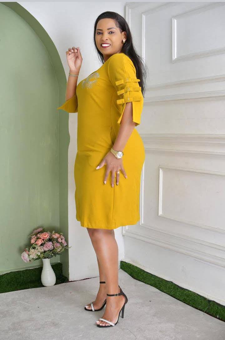 Fashion shift ladies dress