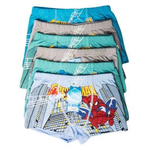 Fashion 6-Piece boys ’ Assorted Print Underwear Set – Premium Soft Cotton Kids Panties, Breathable Comfort Briefs & Hot Pant, Stretchy Waistband, Cute Cartoon & Floral Designs, Everyday Innerwear