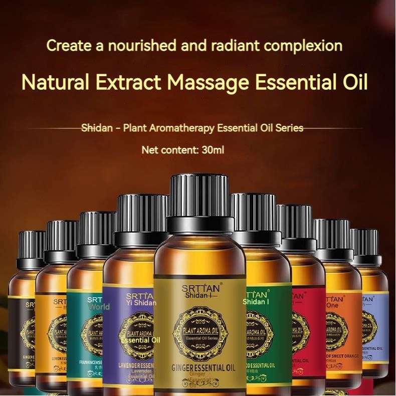 Shidan Beauty Salon Massage Essential Oil 30ml Body Scraping for Unblocking Meridians with Plant Sandalwood, Rose, Mugwort and Ginger