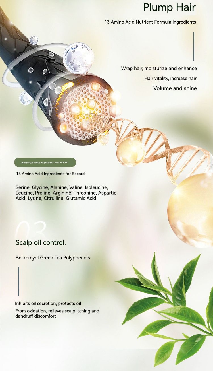 Best-selling shampoo for dandruff and itching control, oil-control and volumizing shampoo, hair care set, hair conditioner, shampoo and conditioner.