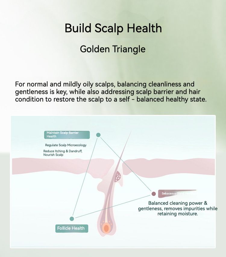 Best-selling shampoo for dandruff and itching control, oil-control and volumizing shampoo, hair care set, hair conditioner, shampoo and conditioner.