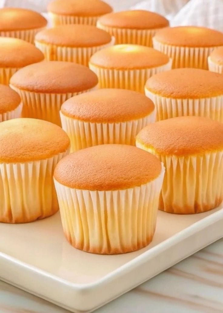 Cupcake Paper Cake Liners Muffin Queen Cake  Paper Baking  Liners  1000 White Pieces