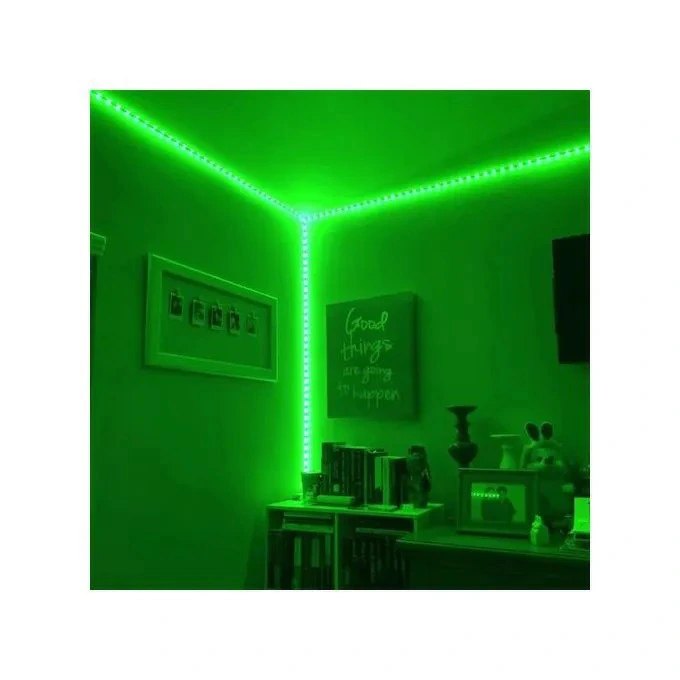 5M LED Light Strip Light USB LED RGB Lights Flexible LED Lamp Tape Ribbon Tape Diode DC With IR Remote Controller