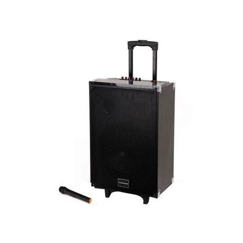 TAGWOOD 15 inches Outdoor Rechargeable Public Address Speaker with wireless Microphone , USB Slot , Bluetooth , Memory Card Slot , 9800W , MP3 Player