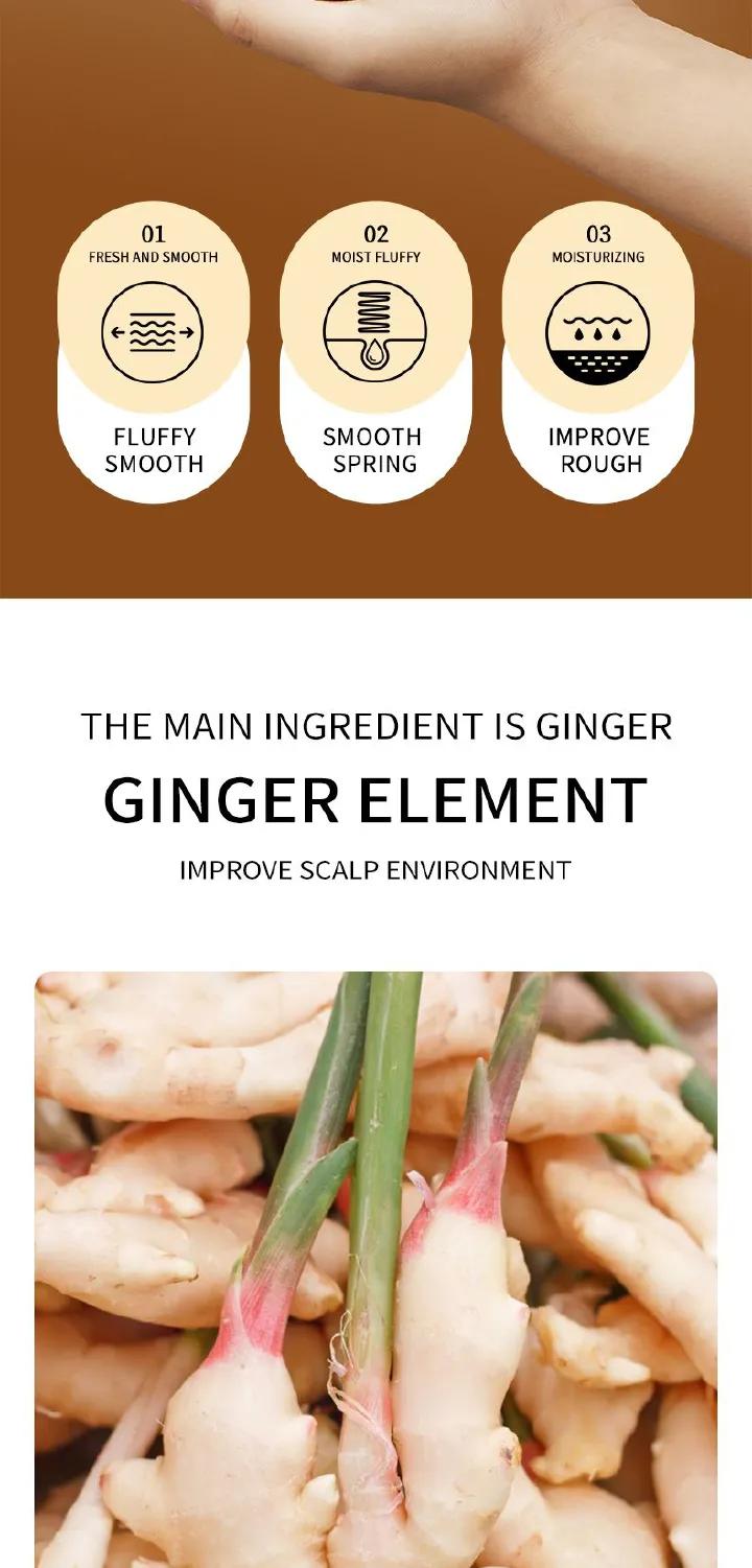 4PCS SADOER Ginger Hair Care 4PCS Set: Shampoo, Conditioner, Hair Mask & Treatment Liquid - Reduces Dryness, Bifurcation & Coarseness, Leaving Hair Elastic & Shiny