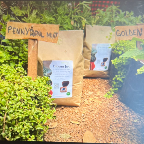 Bloom Joy Organic Fertilizer